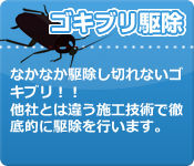 ゴキブリ駆除