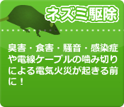 ネズミ駆除