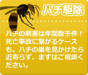 ハチ駆除