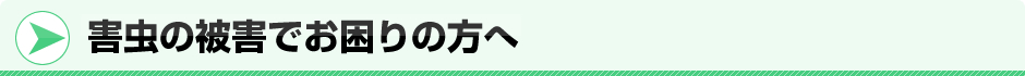害虫の被害でお困りの方へ